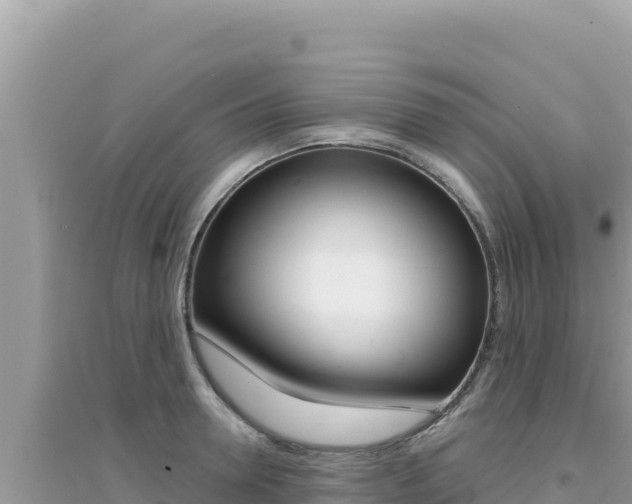 X0000095130946200712071005