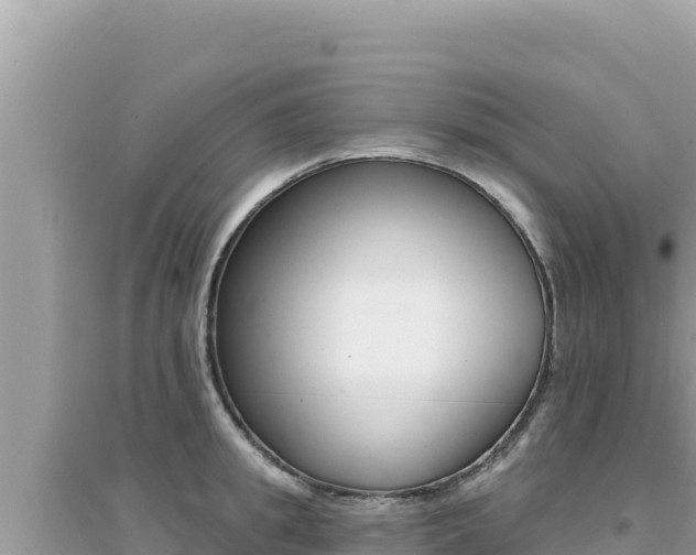 X0000095130949200712071005