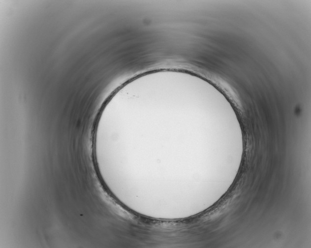 X0000095130950200712071005