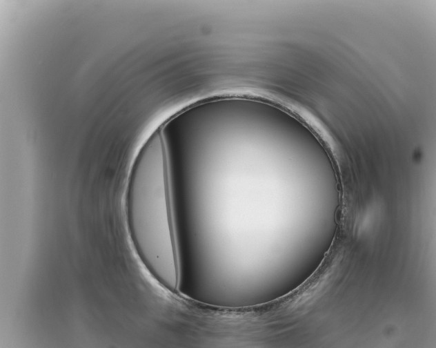 X0000095130951200712071005