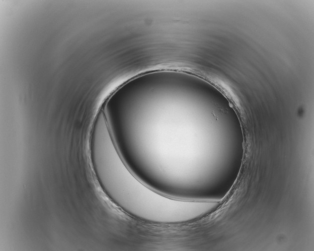 X0000095130952200712071005