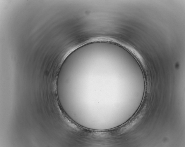 X0000095130953200712071005