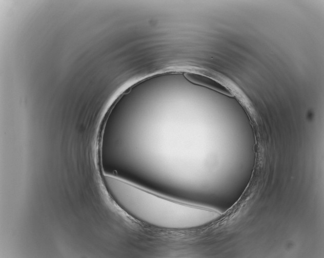 X0000095130955200712071005