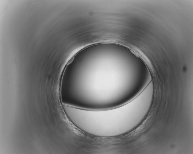 X0000095130956200712071005