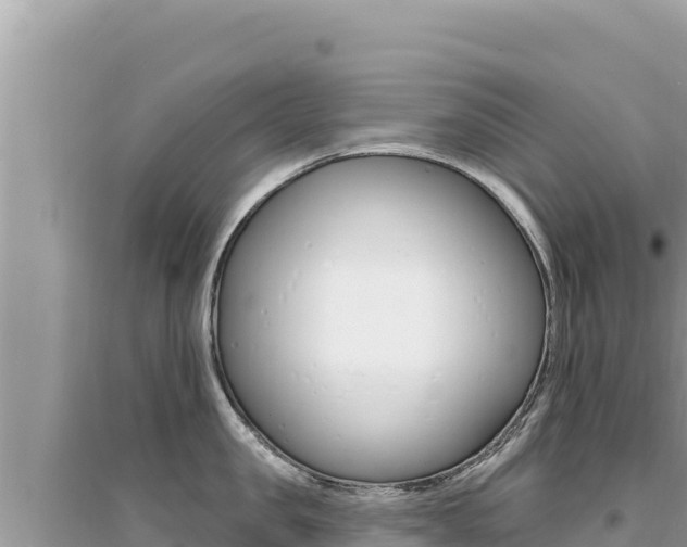 X0000095130957200712071005
