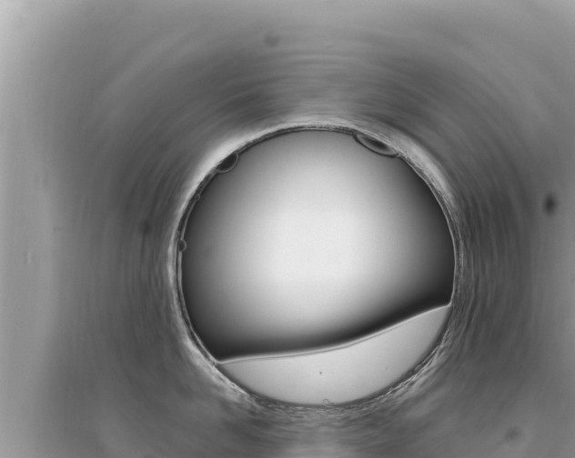X0000095130958200712071005