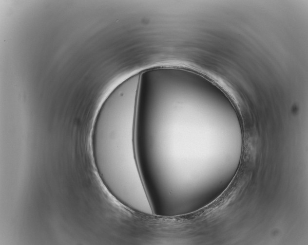 X0000095130959200712071005