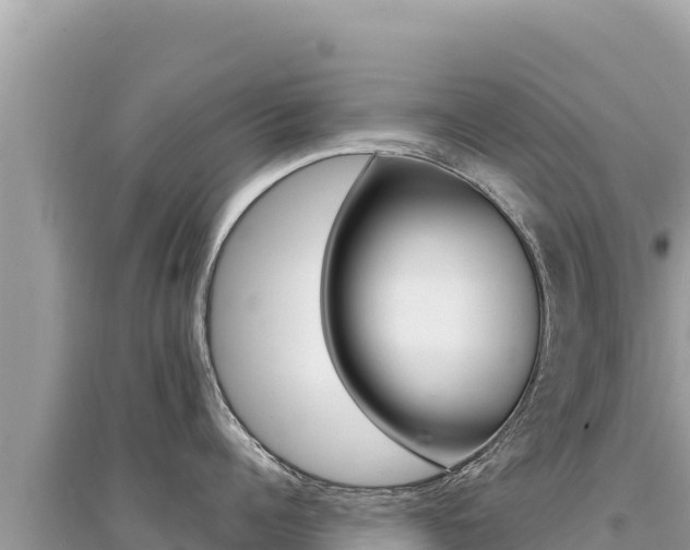 X0000095130960200712071005