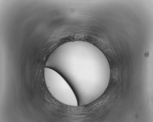 X0000095130962200712071004