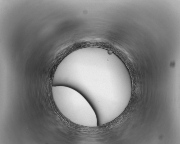 X0000095130966200712071004