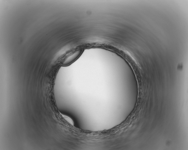 X0000095130967200712071004
