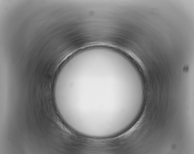X0000095130969200712071004