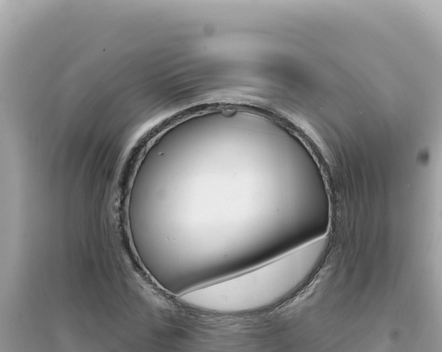 X0000095130971200712071004