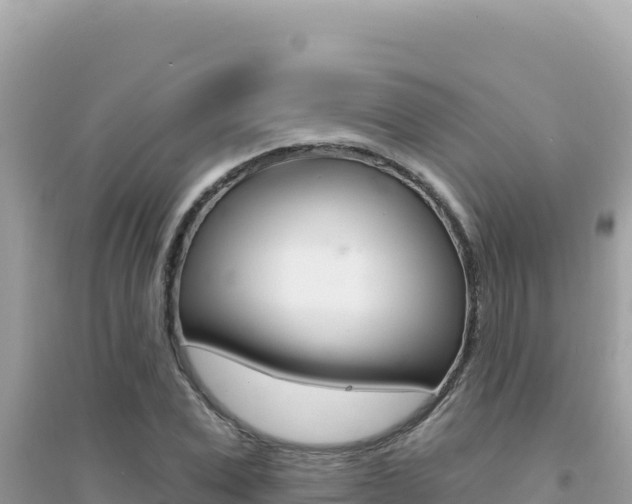 X0000095130975200712071004