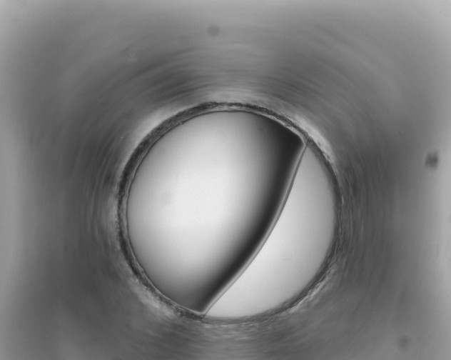 X0000095130976200712071004