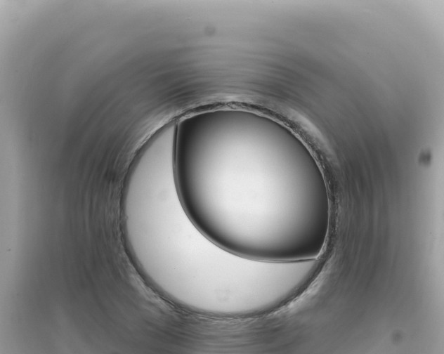 X0000095130977200712071003
