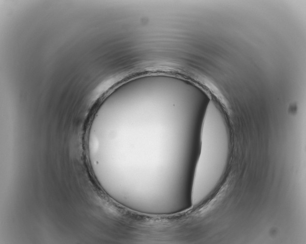 X0000095130978200712071003
