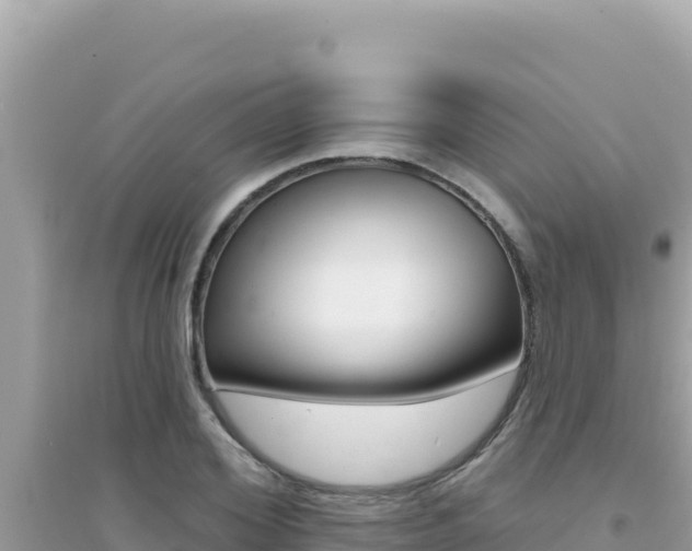 X0000095130980200712071003