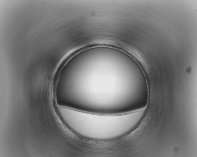 X0000095130984200712071003
