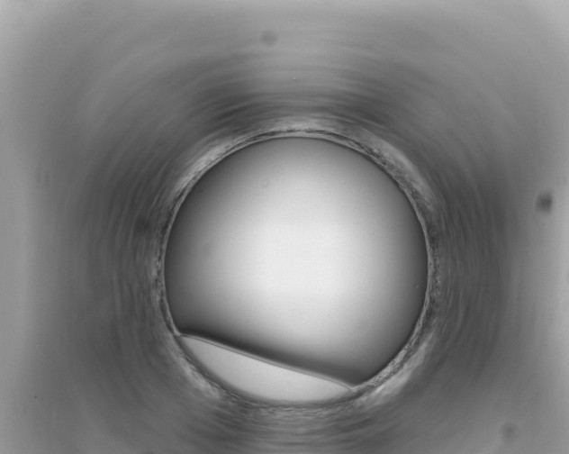 X0000095130985200712071003