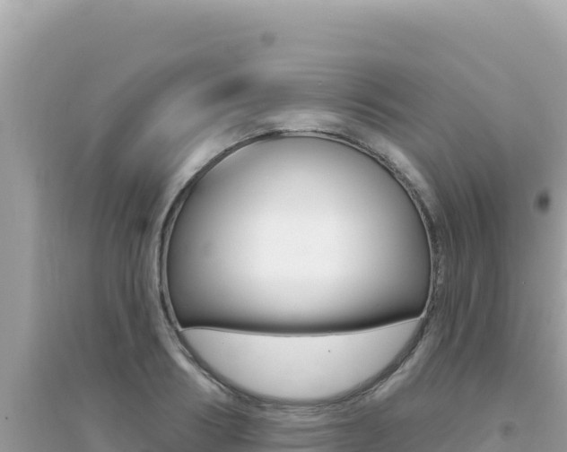 X0000095130986200712071003