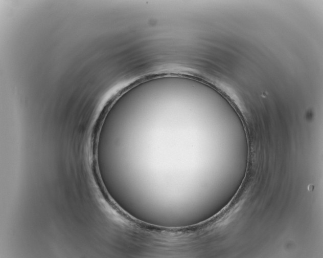 X0000095130987200712071003
