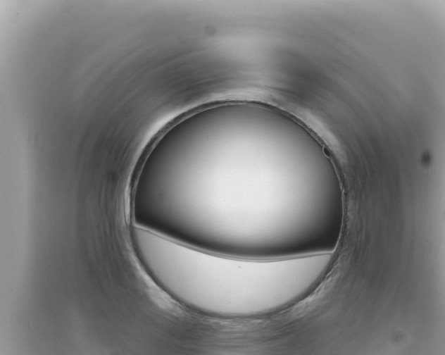 X0000095130988200712071003