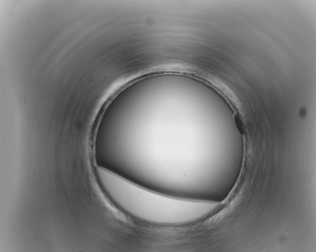 X0000095130989200712071003