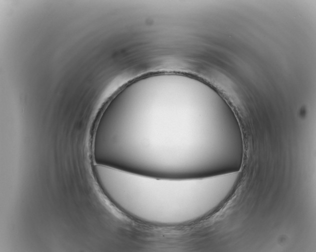 X0000095130990200712071003