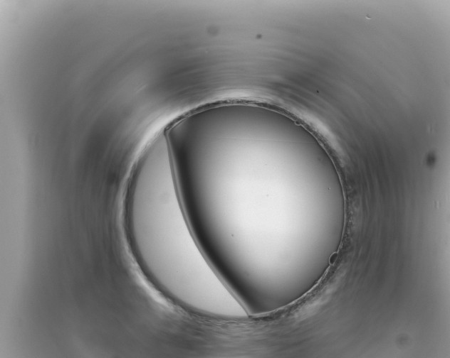 X0000095130991200712071003