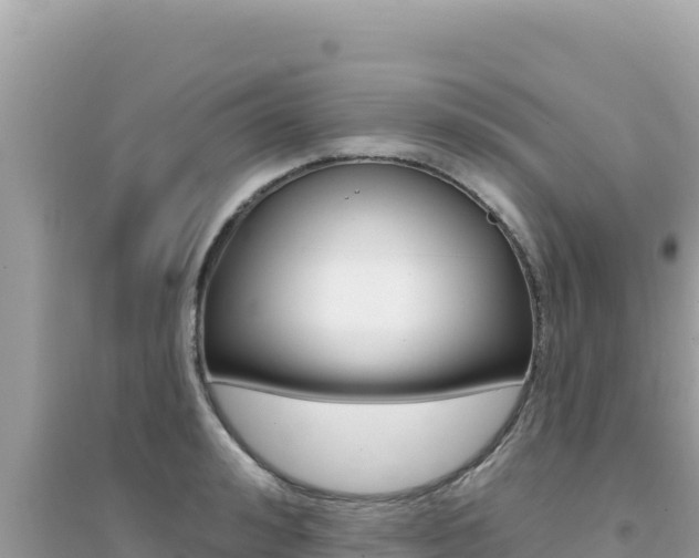 X0000095130992200712071003