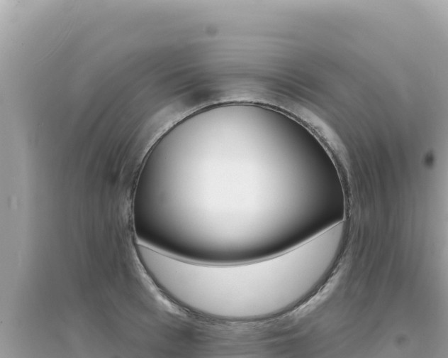 X0000095130993200712071003