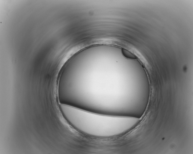 X0000095130994200712071003