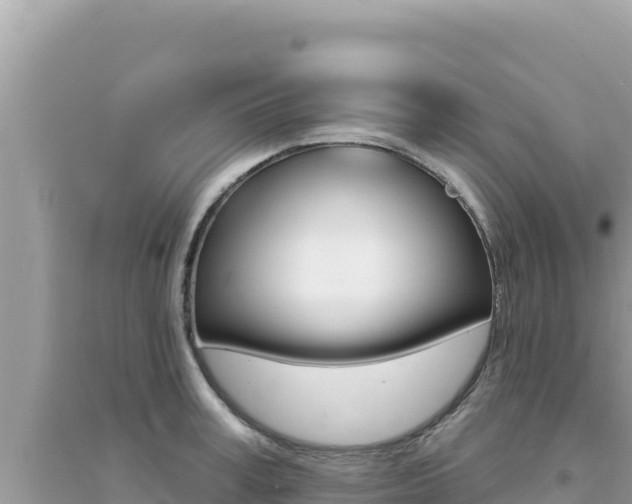 X0000095130995200712071003