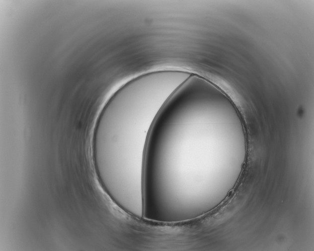 X0000095130996200712071003