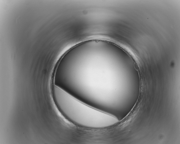 X0000095130999200712071003