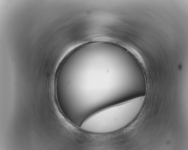 X0000095131000200712071003