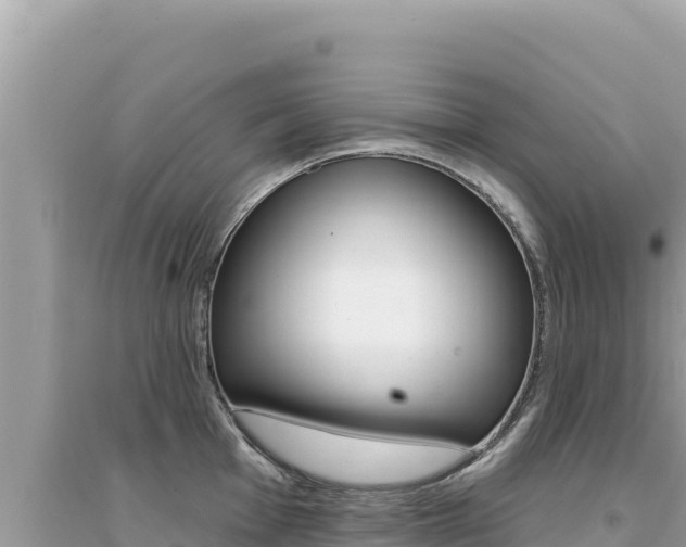 X0000095131001200712071003