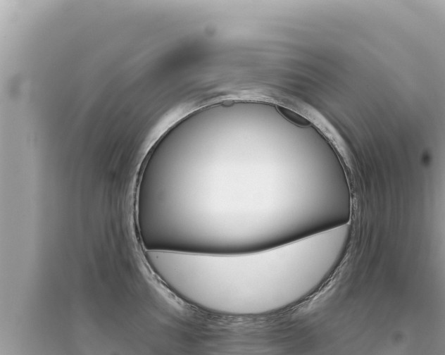 X0000095131002200712071003