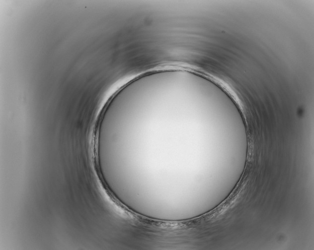 X0000095131003200712071003