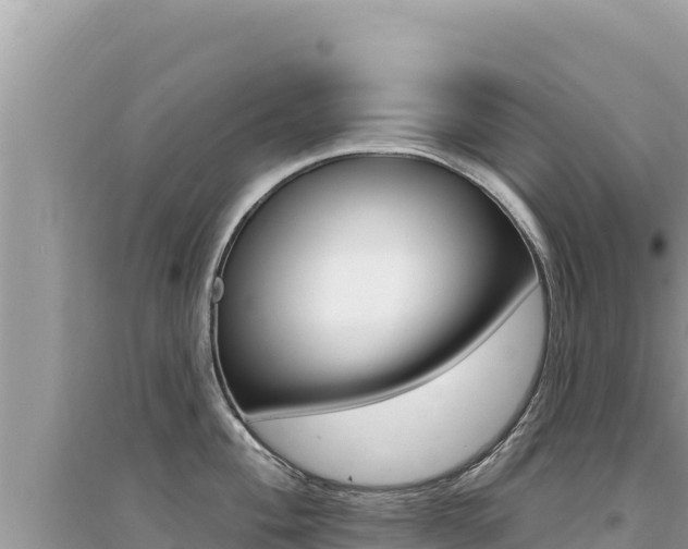 X0000095131004200712071003