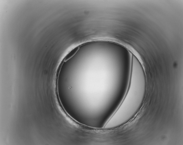 X0000095131005200712071003