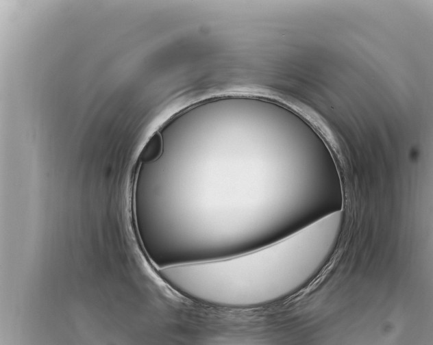 X0000095131006200712071003