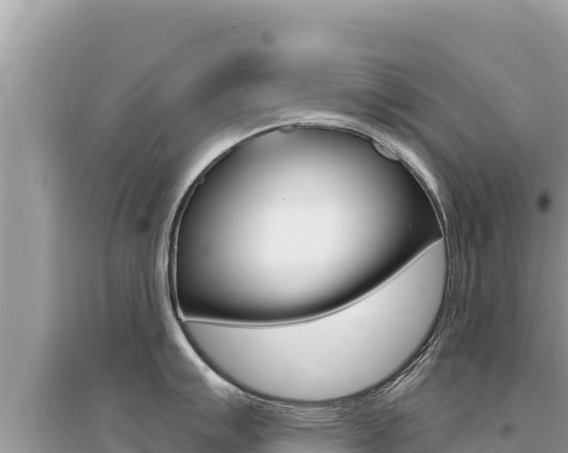 X0000095131007200712071003