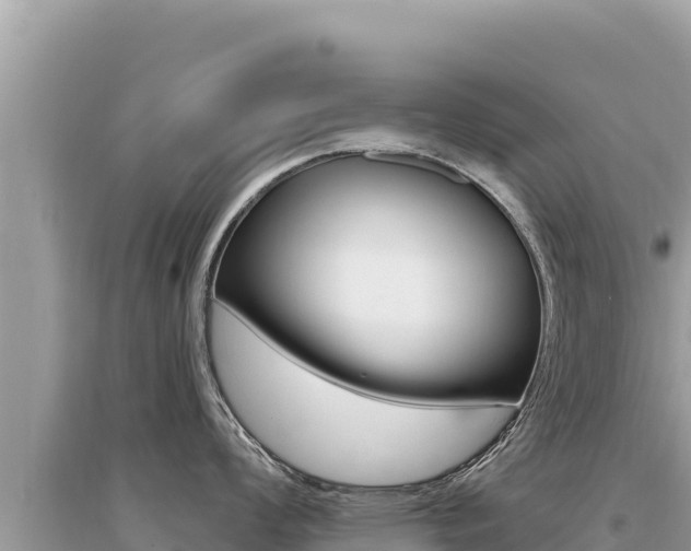 X0000095131008200712071003