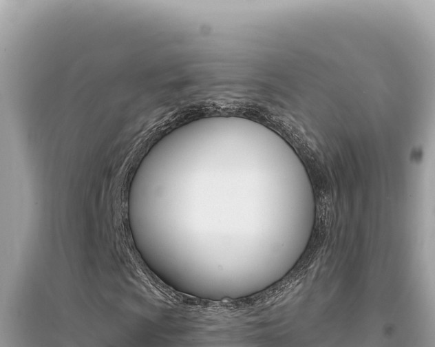 X0000095131009200712071002