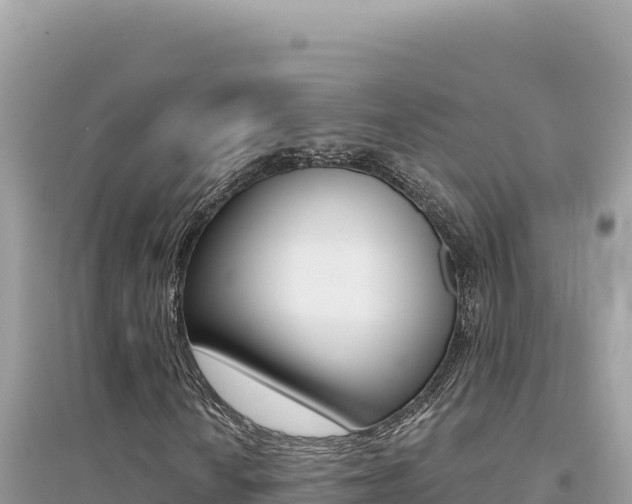 X0000095131010200712071002