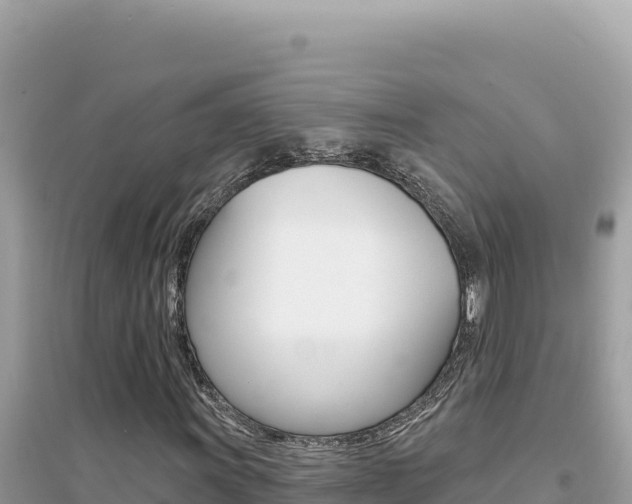 X0000095131011200712071002