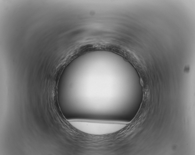 X0000095131012200712071002