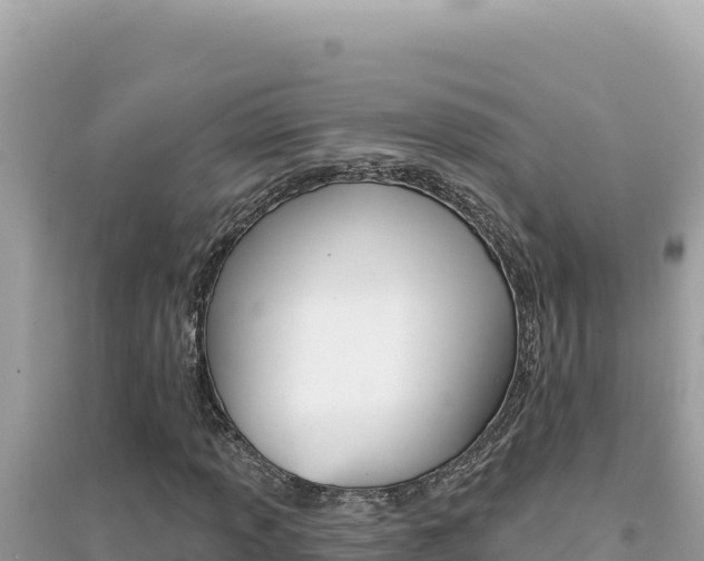 X0000095131013200712071002